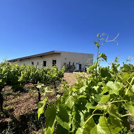 Grand De Plain Pied Au Coeur Du Domaine Viticole Apartamento Corneilhan